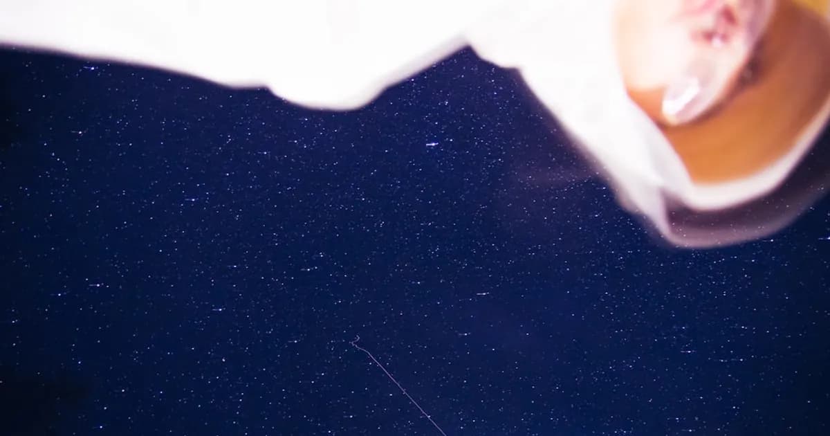 Are You More Like Grace or Rocky?