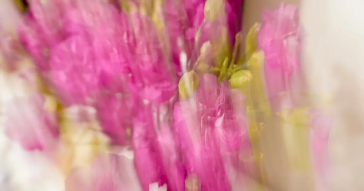 Mother's Day Trivia Quiz