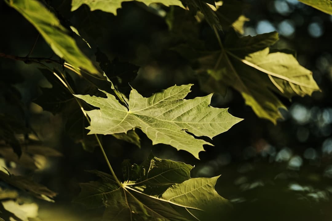 What Type of Environmentalist Are You?