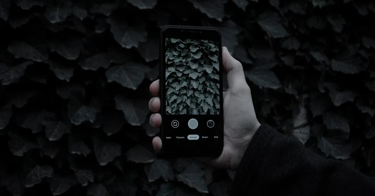 What's Your Situationship Type?