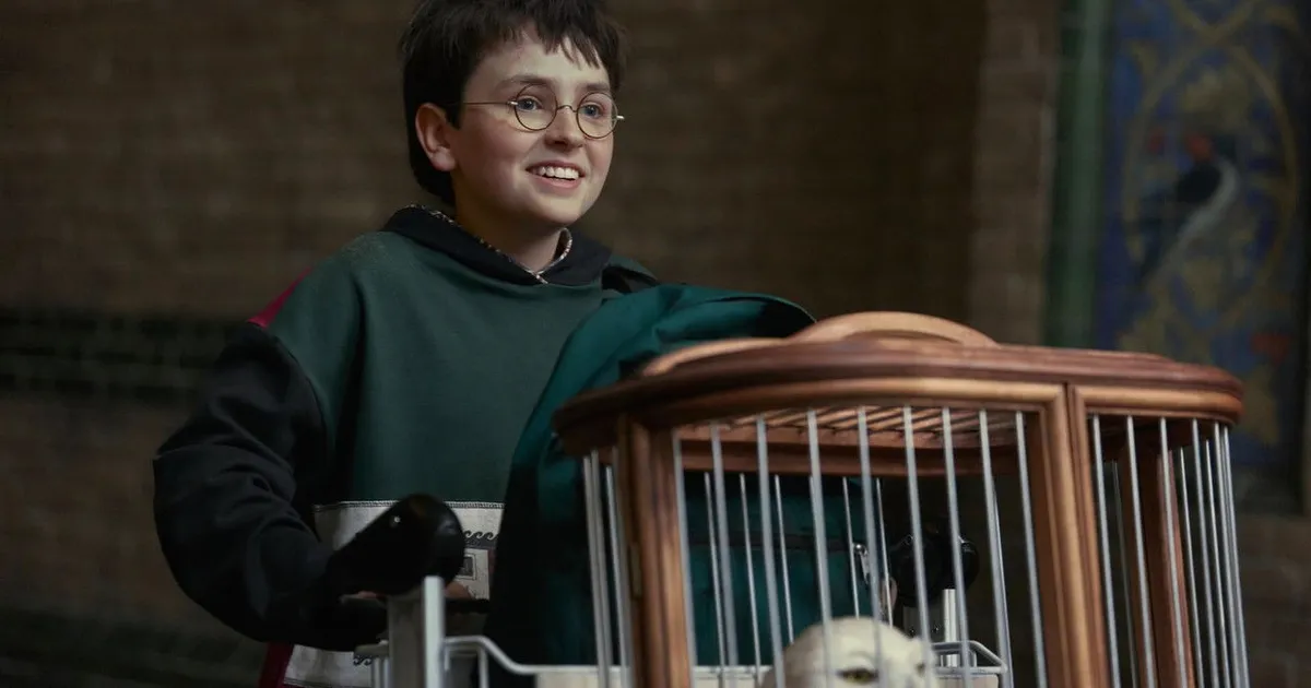 Which Harry Potter Character Are You?