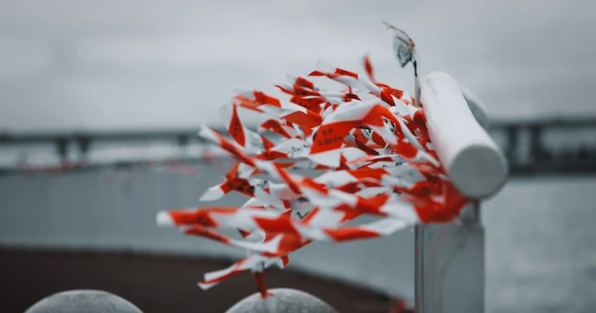 Can You Spot Red Flags?