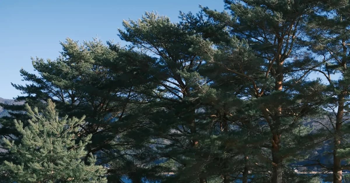 Earth Day Trivia Quiz 2026