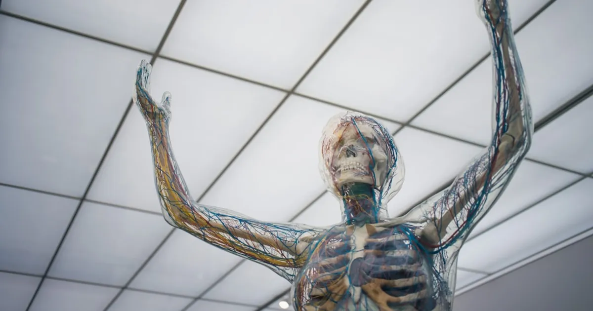 How Well Do You Know the Human Body?